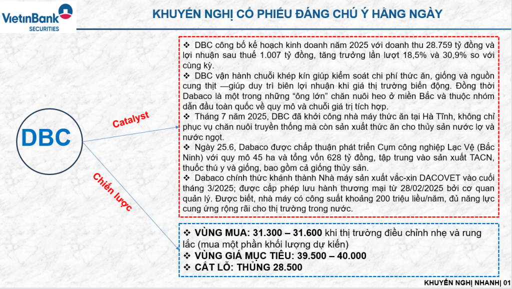 Khuyến nghị mua cổ phiếu DBC – Cơ hội đầu tư từ CTS